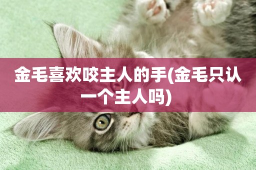 金毛喜歡咬主人的手(金毛只認一個主人嗎) 