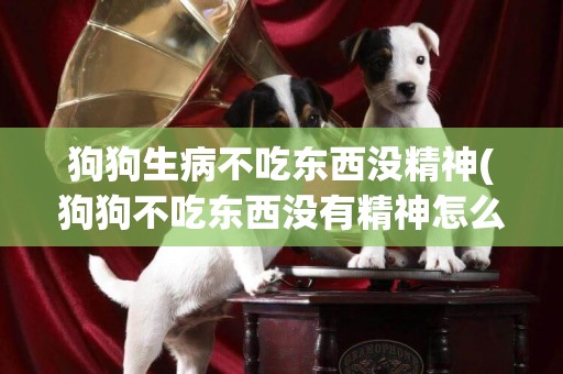 狗狗生病不吃東西沒精神(狗狗不吃東西沒有精神怎么回事)