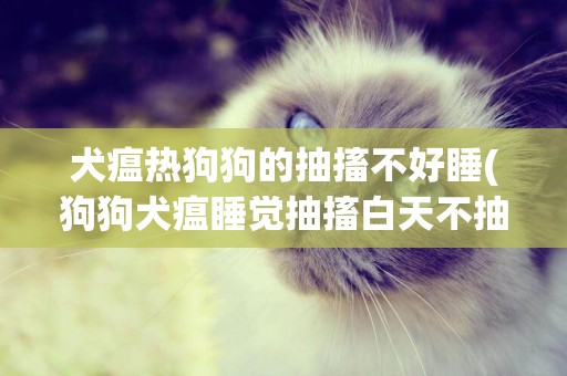 犬瘟熱狗狗的抽搐不好睡(狗狗犬瘟睡覺抽搐白天不抽搐)