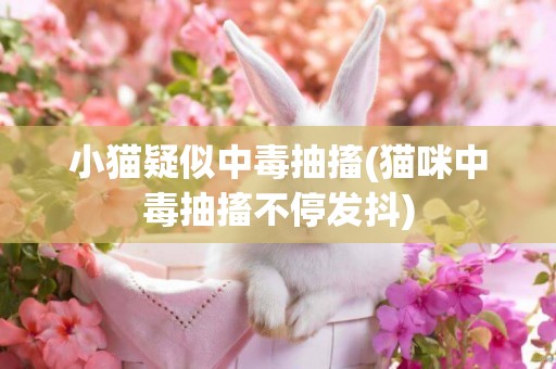小貓疑似中毒抽搐(貓咪中毒抽搐不停發抖)