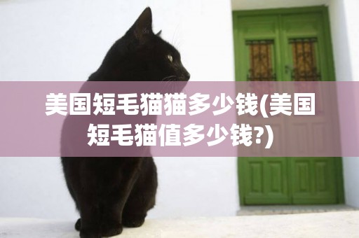 美國短毛貓貓多少錢(美國短毛貓值多少錢?)