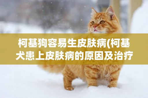 柯基狗容易生皮膚病(柯基犬患上皮膚病的原因及治療方法)