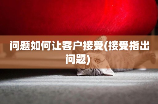 問題如何讓客戶接受(接受指出問題) 