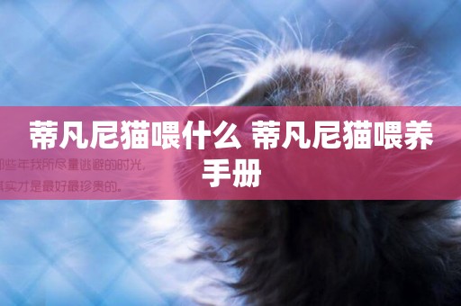 蒂凡尼貓喂什么 蒂凡尼貓喂養手冊