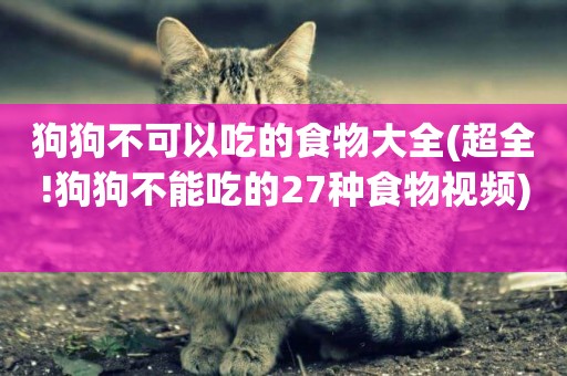 狗狗不可以吃的食物大全(超全!狗狗不能吃的27種食物視頻) 