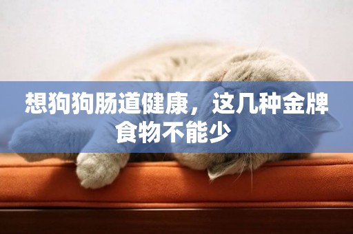 想狗狗腸道健康，這幾種金牌食物不能少 