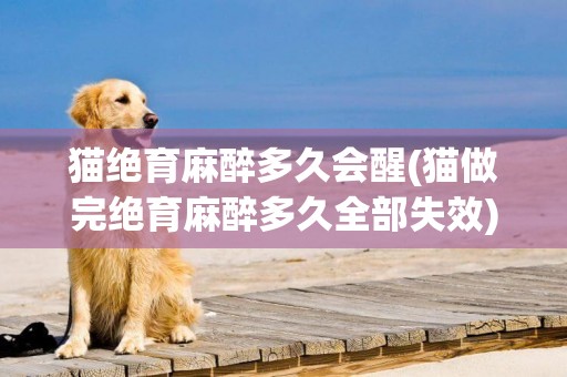 貓絕育麻醉多久會醒(貓做完絕育麻醉多久全部失效)