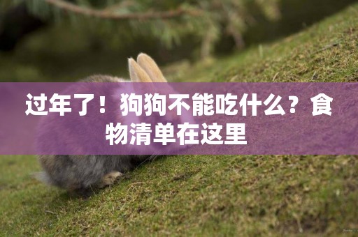 過年了！狗狗不能吃什么？食物清單在這里 
