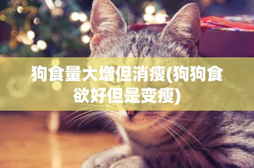 狗食量大增但消瘦(狗狗食欲好但是變瘦)