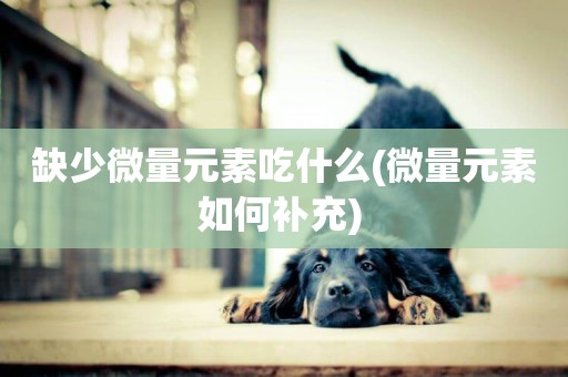 缺少微量元素吃什么(微量元素如何補充) 