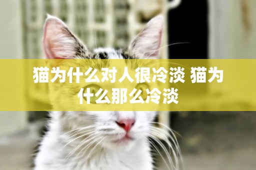 貓為什么對人很冷淡 貓為什么那么冷淡