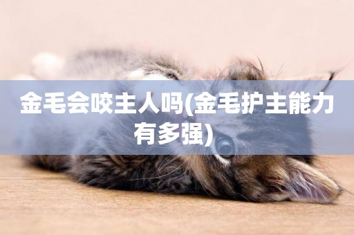 金毛會咬主人嗎(金毛護主能力有多強) 