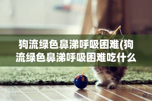 狗流綠色鼻涕呼吸困難(狗流綠色鼻涕呼吸困難吃什么藥)