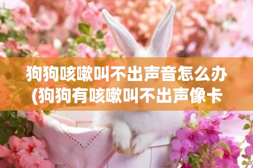 狗狗咳嗽叫不出聲音怎么辦(狗狗有咳嗽叫不出聲像卡了東西)