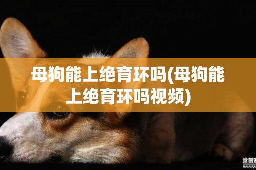 母狗能上絕育環嗎(母狗能上絕育環嗎視頻)