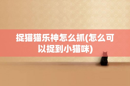 捉貓貓樂神怎么抓(怎么可以捉到小貓咪)