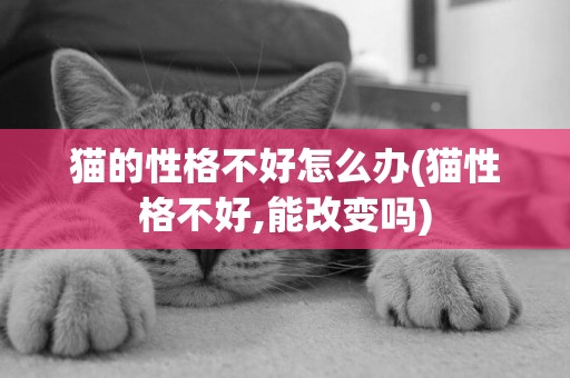 貓的性格不好怎么辦(貓性格不好,能改變嗎)