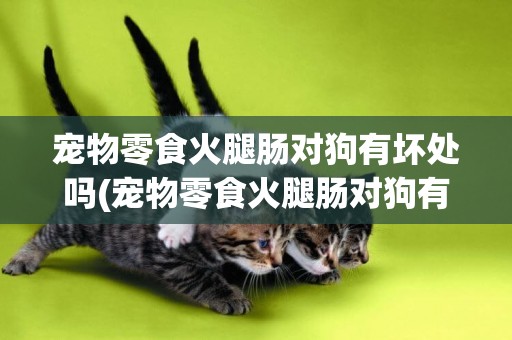 寵物零食火腿腸對狗有壞處嗎(寵物零食火腿腸對狗有壞處嗎視頻)