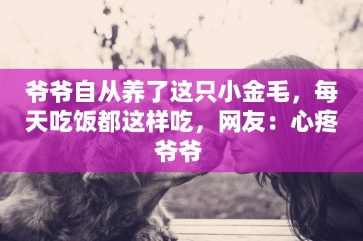 爺爺自從養了這只小金毛，每天吃飯都這樣吃，網友：心疼爺爺 