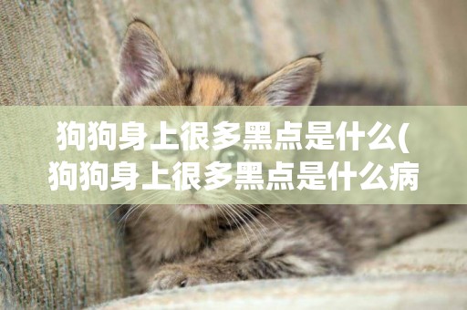 狗狗身上很多黑點是什么(狗狗身上很多黑點是什么病)