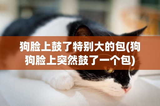 狗臉上鼓了特別大的包(狗狗臉上突然鼓了一個包)