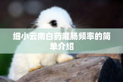 細小云南白藥灌腸頻率的簡單介紹