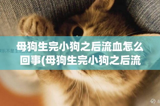 母狗生完小狗之后流血怎么回事(母狗生完小狗之后流血怎么回事兒)
