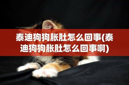 泰迪狗狗脹肚怎么回事(泰迪狗狗脹肚怎么回事啊)