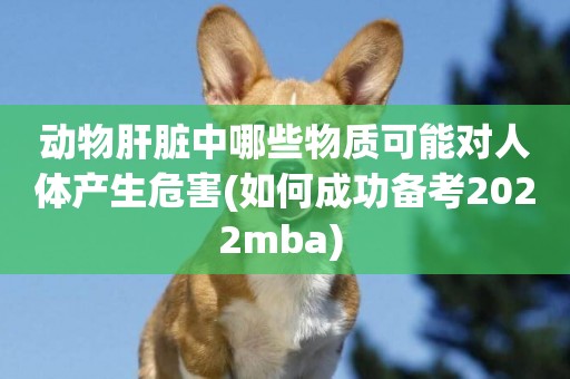 動物肝臟中哪些物質可能對人體產生危害(如何成功備考2022mba) 