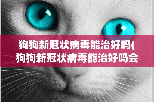 狗狗新冠狀病毒能治好嗎(狗狗新冠狀病毒能治好嗎會傳染嗎)