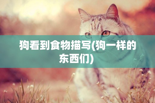 狗看到食物描寫(狗一樣的東西們) 