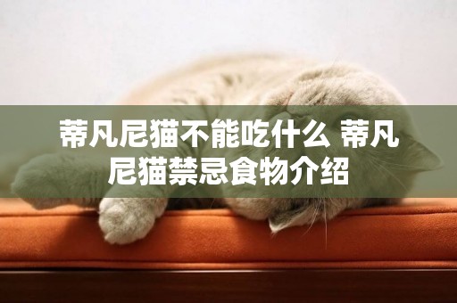 蒂凡尼貓不能吃什么 蒂凡尼貓禁忌食物介紹