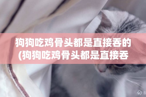 狗狗吃雞骨頭都是直接吞的(狗狗吃雞骨頭都是直接吞的嗎)