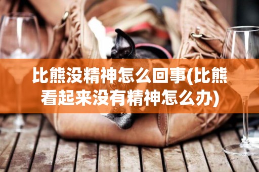 比熊沒精神怎么回事(比熊看起來沒有精神怎么辦)