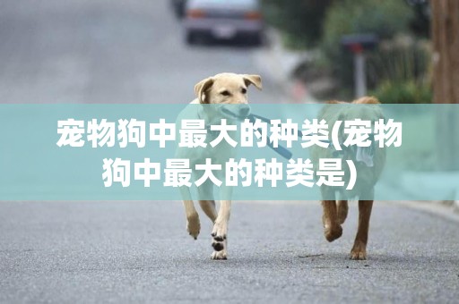 寵物狗中最大的種類(寵物狗中最大的種類是)