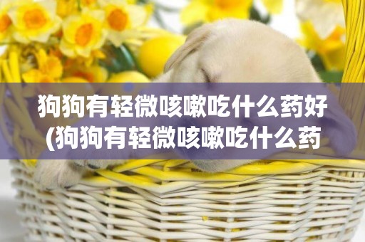 狗狗有輕微咳嗽吃什么藥好(狗狗有輕微咳嗽吃什么藥好的快)