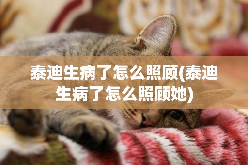 泰迪生病了怎么照顧(泰迪生病了怎么照顧她)