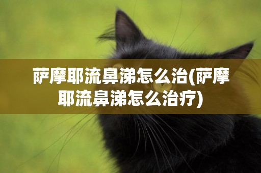 薩摩耶流鼻涕怎么治(薩摩耶流鼻涕怎么治療)