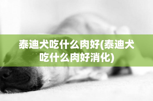 泰迪犬吃什么肉好(泰迪犬吃什么肉好消化)