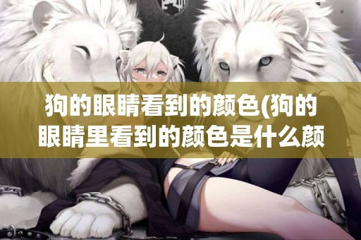 狗的眼睛看到的顏色(狗的眼睛里看到的顏色是什么顏色)