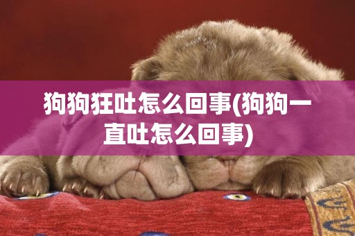 狗狗狂吐怎么回事(狗狗一直吐怎么回事)