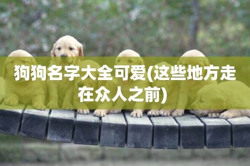 狗狗名字大全可愛(這些地方走在眾人之前) 