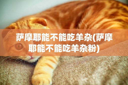 薩摩耶能不能吃羊雜(薩摩耶能不能吃羊雜粉)
