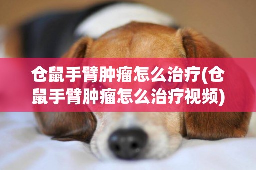 倉鼠手臂腫瘤怎么治療(倉鼠手臂腫瘤怎么治療視頻)