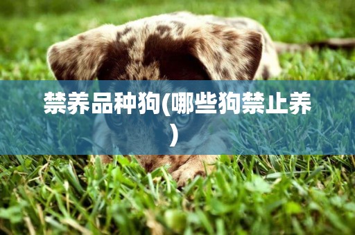 禁養品種狗(哪些狗禁止養) 