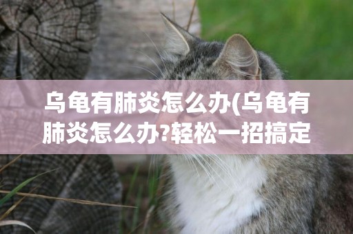 烏龜有肺炎怎么辦(烏龜有肺炎怎么辦?輕松一招搞定)