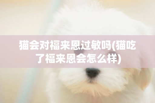 貓會對福來恩過敏嗎(貓吃了福來恩會怎么樣)