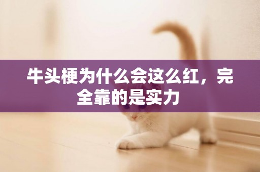 牛頭梗為什么會這么紅，完全靠的是實力 