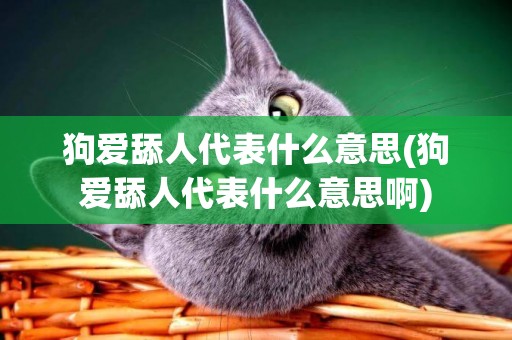 狗愛舔人代表什么意思(狗愛舔人代表什么意思啊)