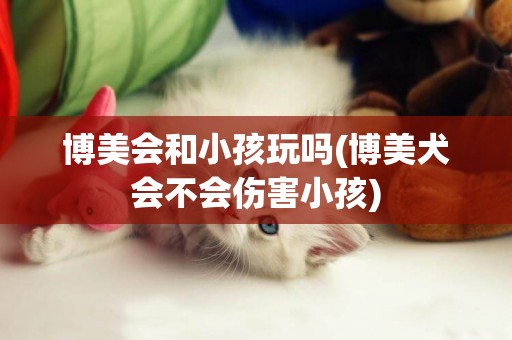 博美會和小孩玩嗎(博美犬會不會傷害小孩)